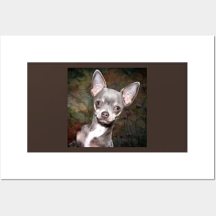 Cute Cheeky Chihuahua face art design Posters and Art